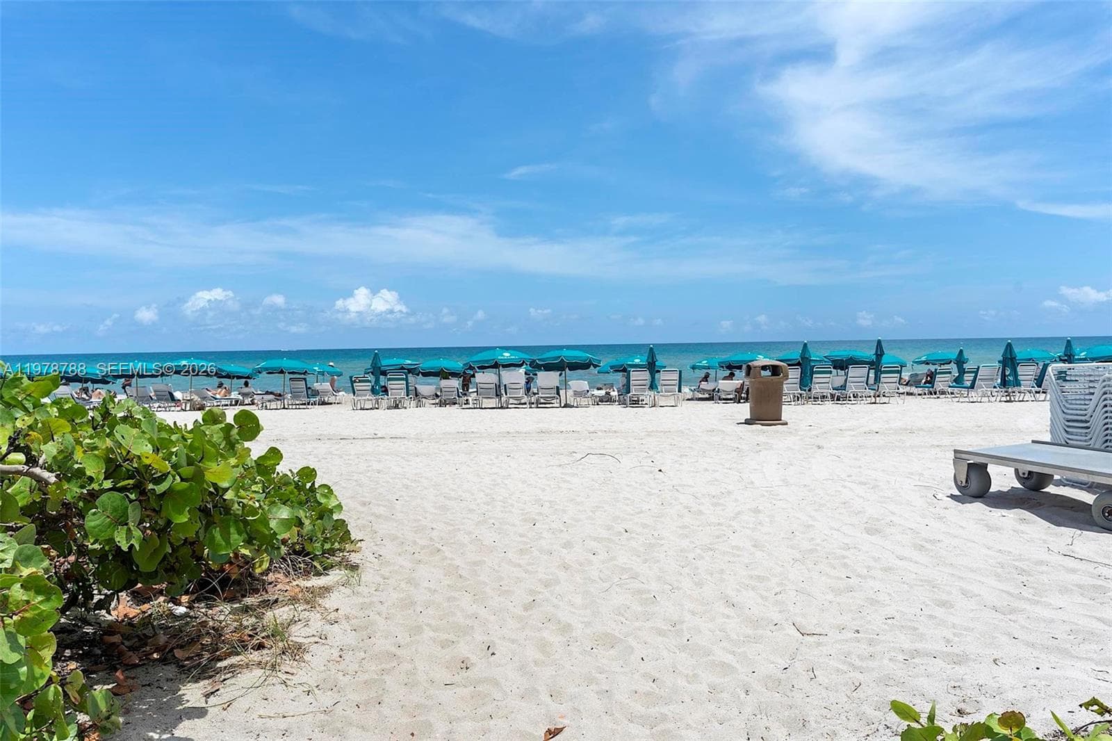 Oceania II · #2328 in Sunny Isles Beach - Photo 68