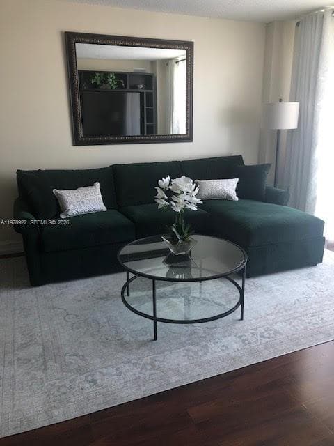 Living room (sleeper couch)