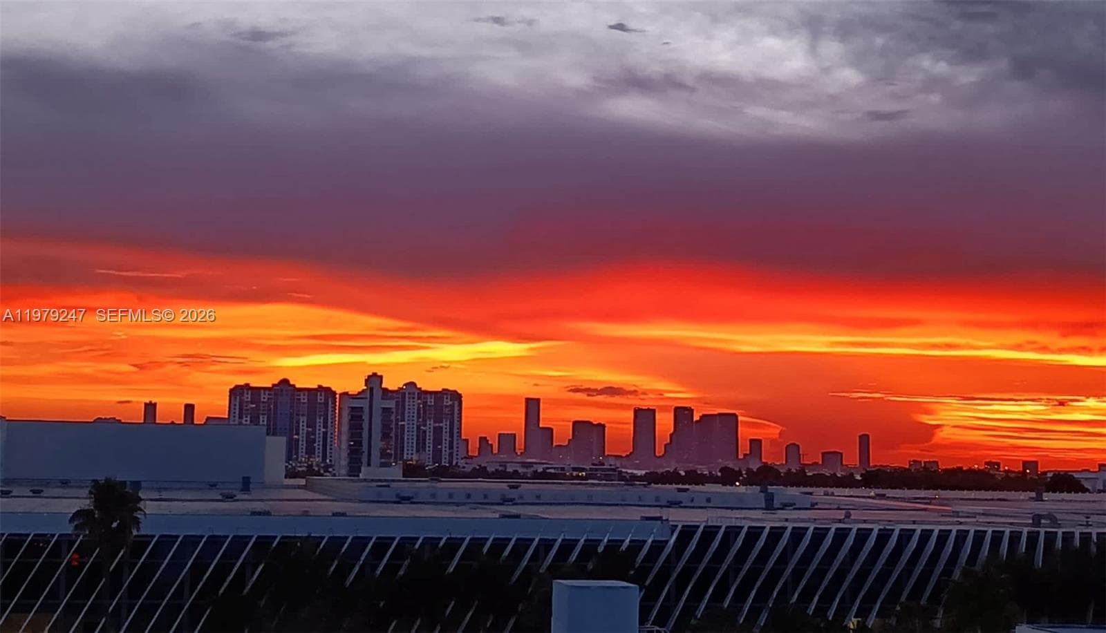 Amazing Sunsets
