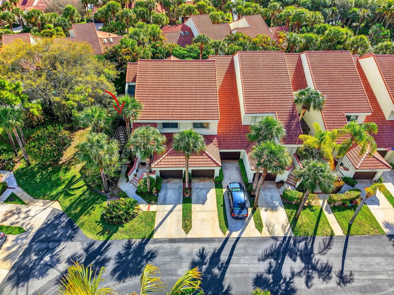 301 SEA OATS 57-web-or-mls-DJI_202603091