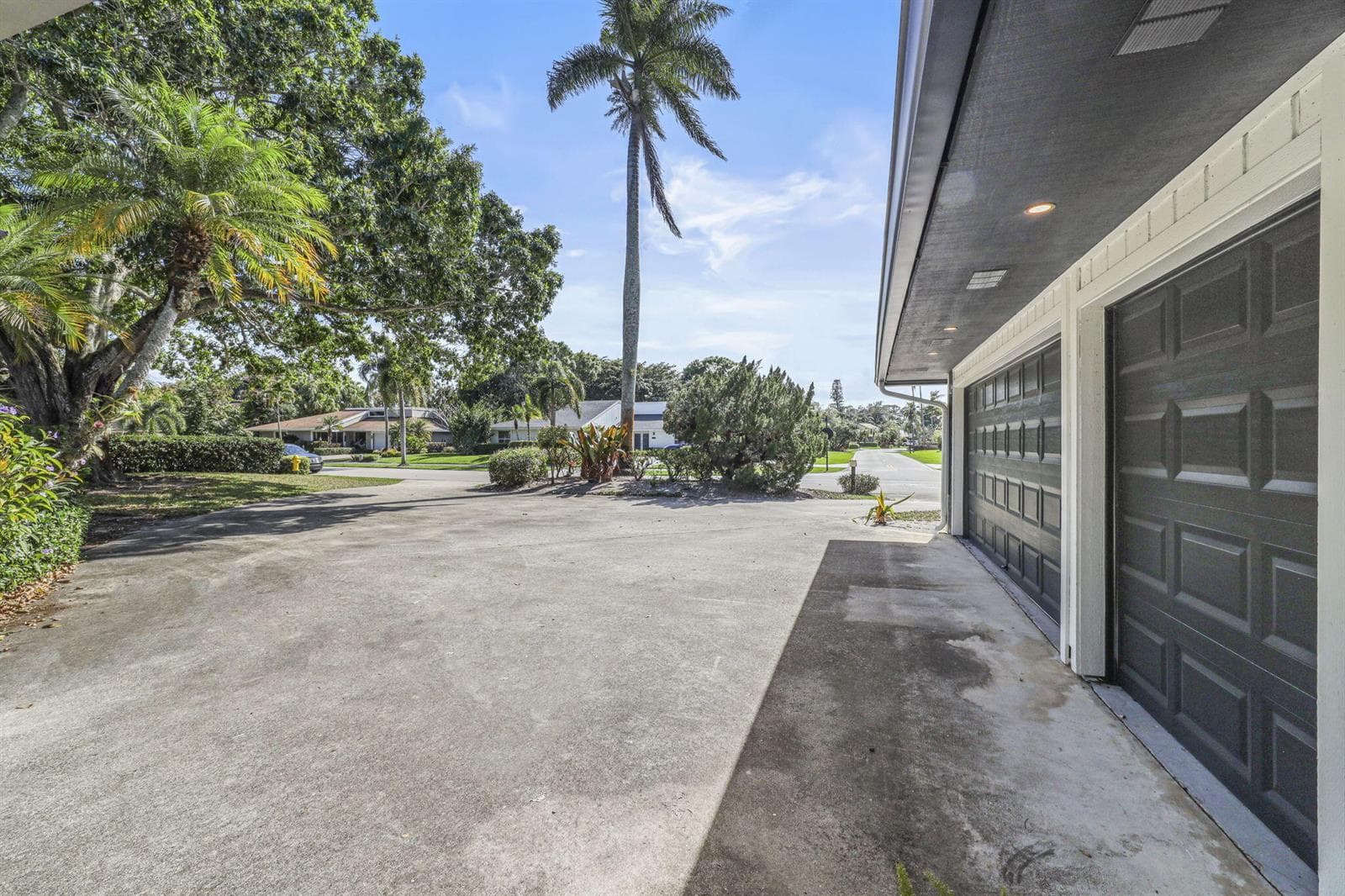 55-web-or-mls-3F2A8216