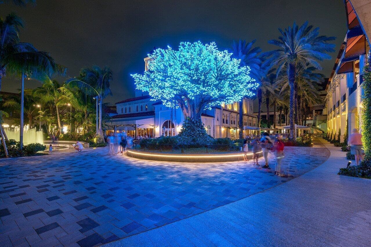 The Square Wishing Tree
