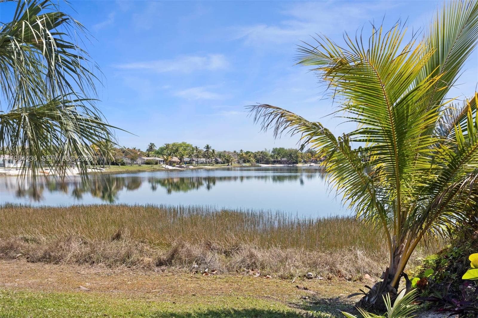 11807 SW 112th Ave photo 3