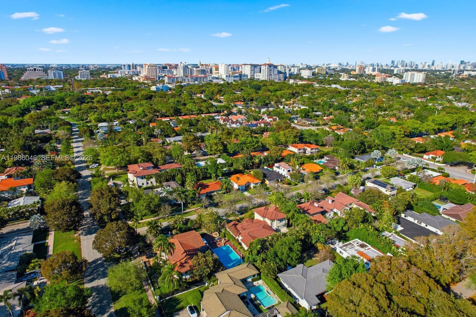 AERIAL VIEW #12