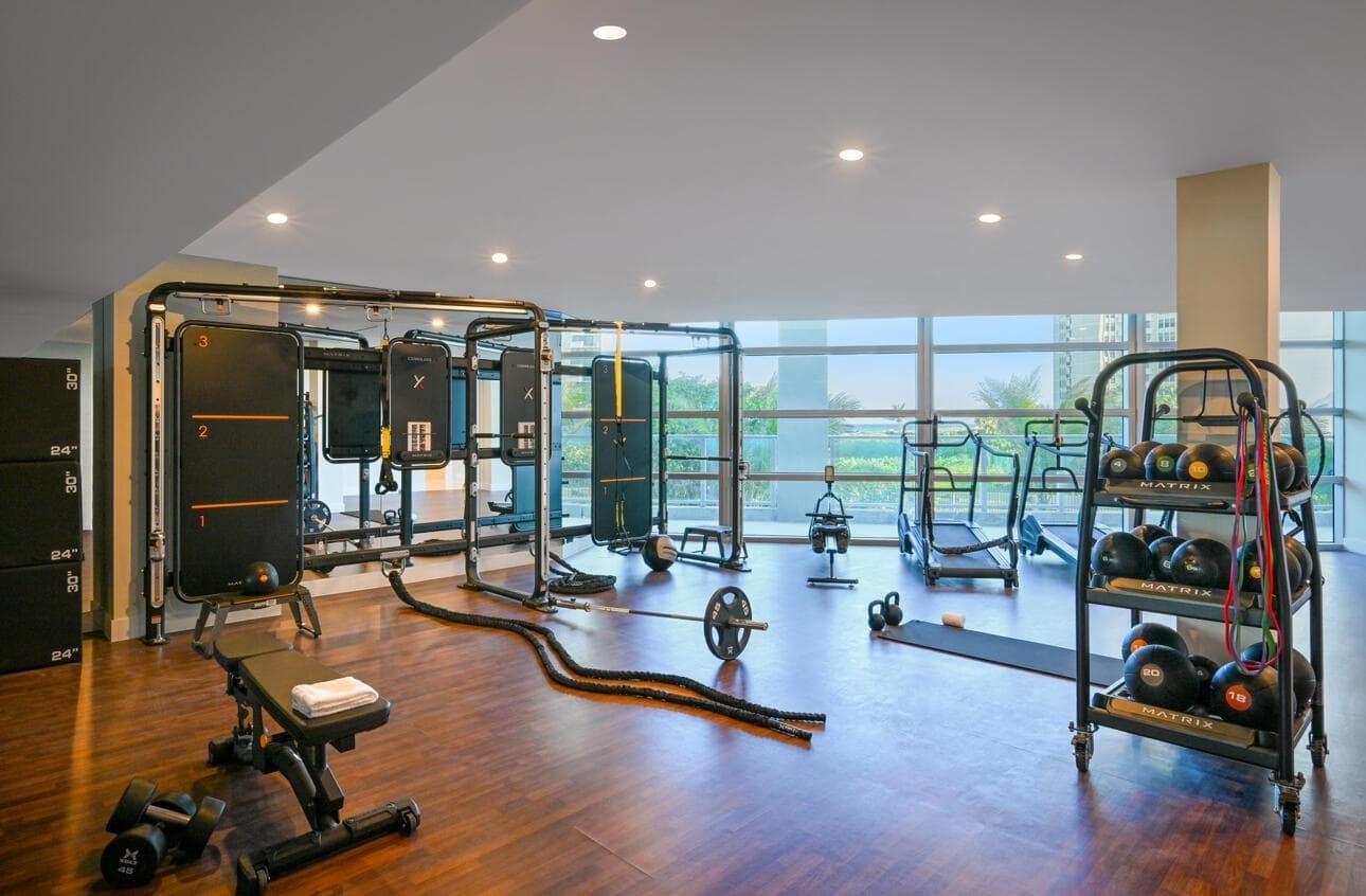 Gym Weights 2