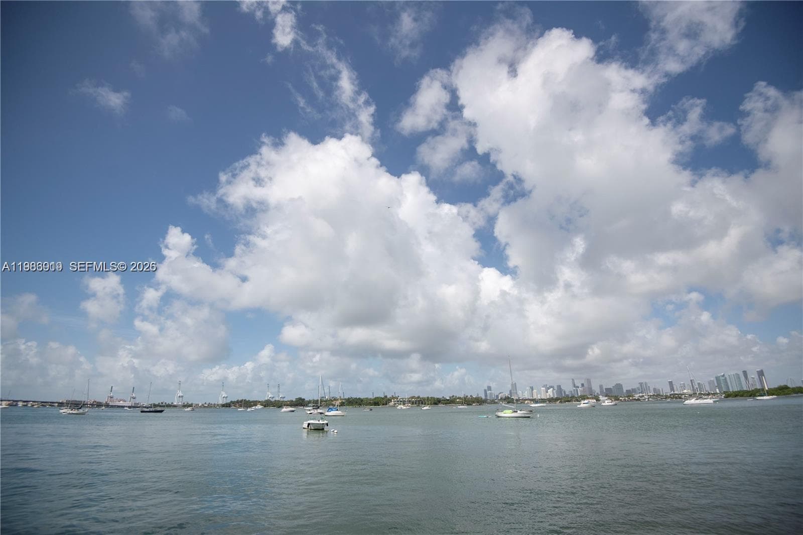 THE WAVERLY AT SOUTH BEAC · #803 in Miami Beach - Photo 7