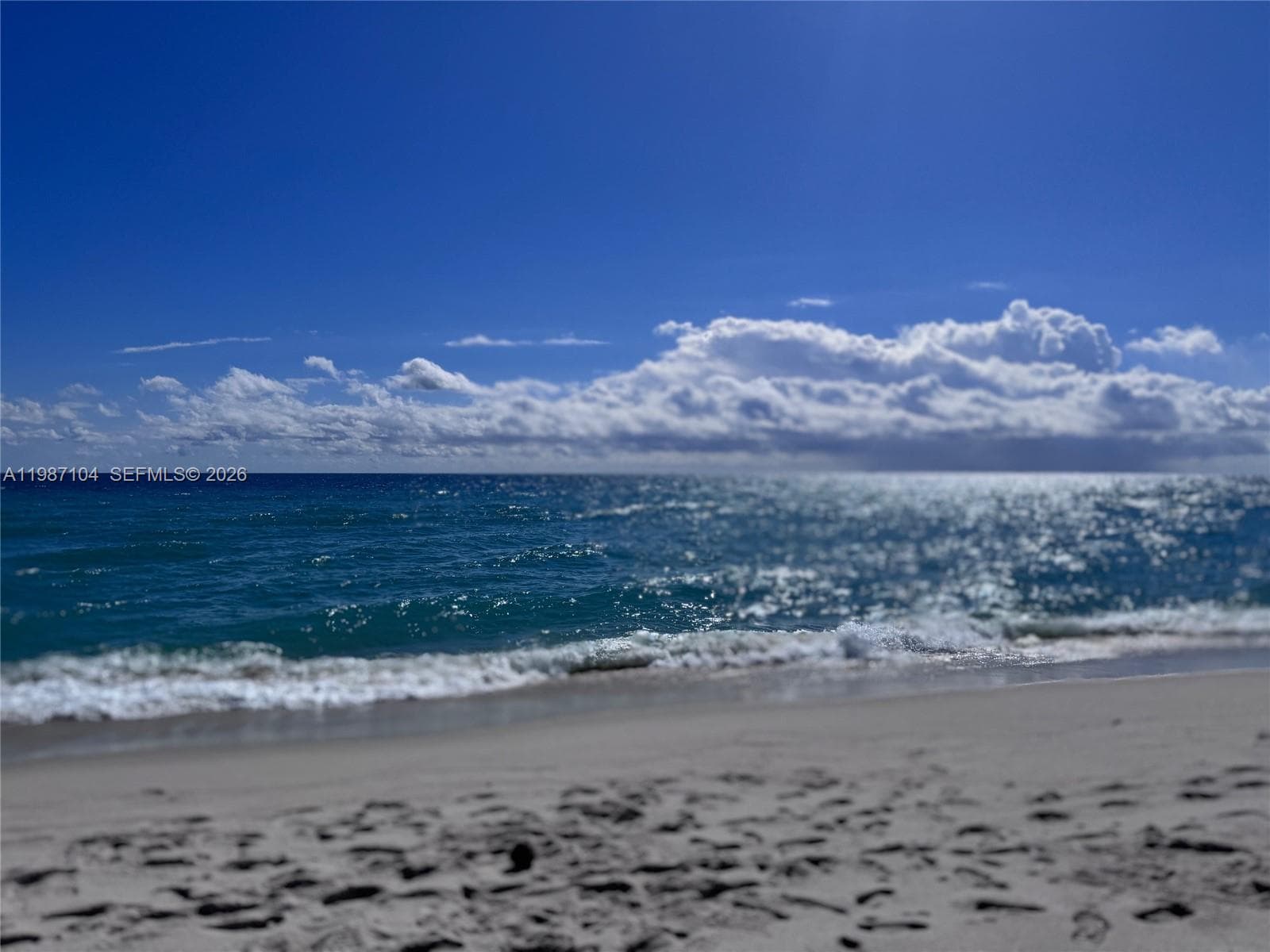 Le Trianon · #12D in Miami Beach - Photo 38