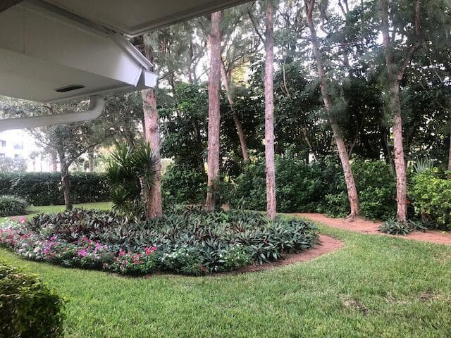 Backyard View