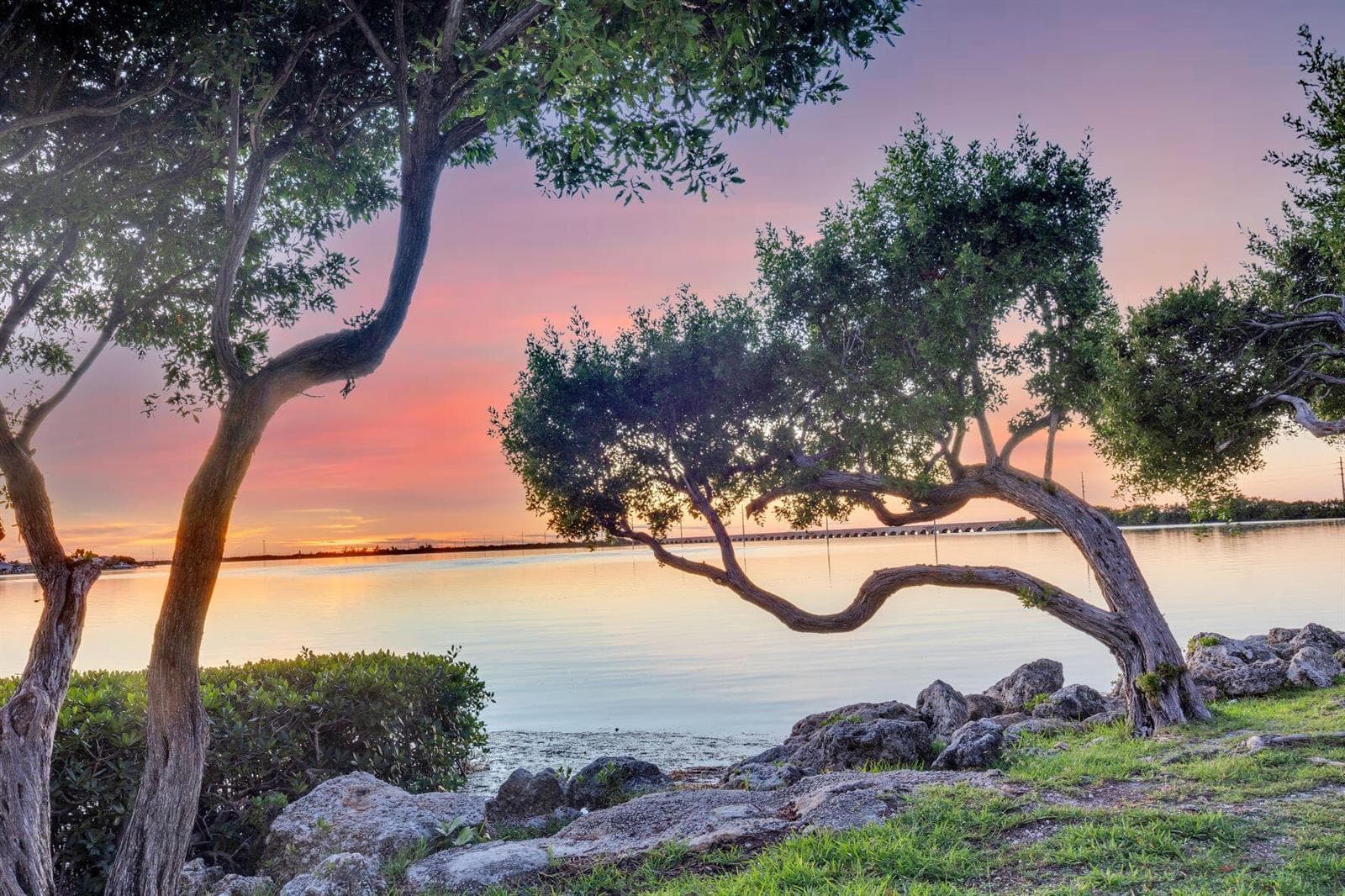 Sunset Views