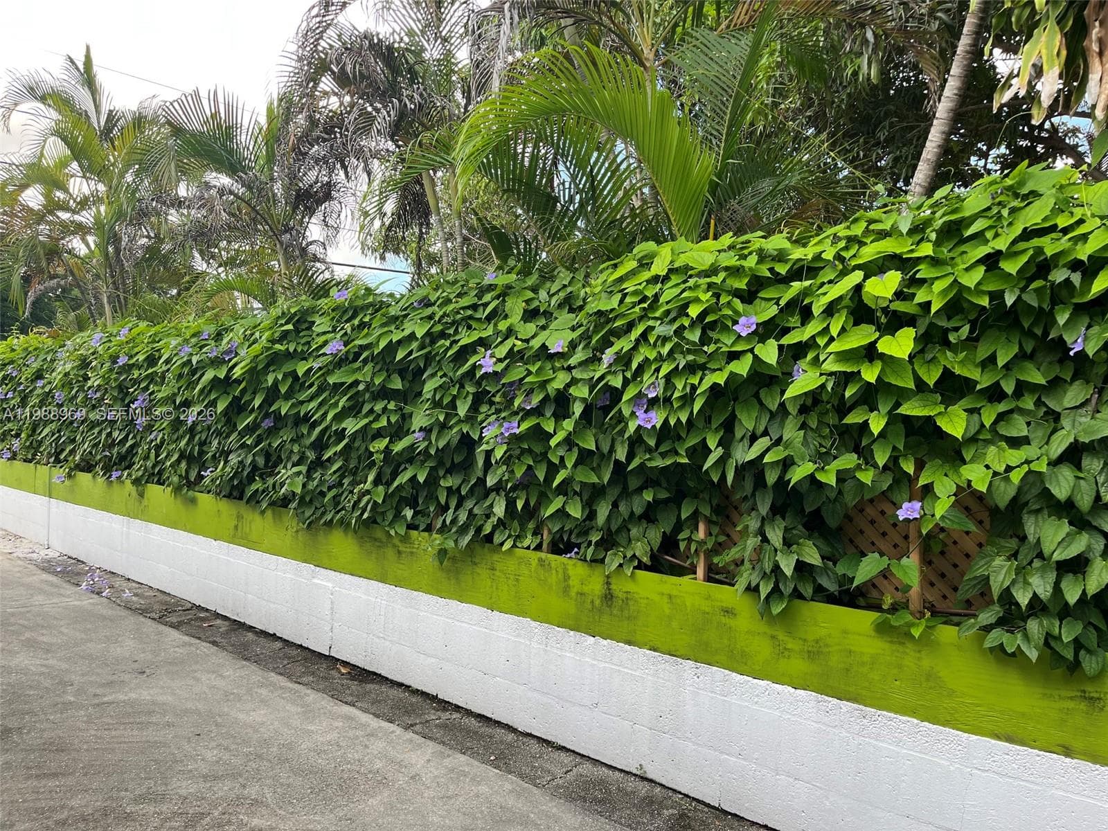 Driveway