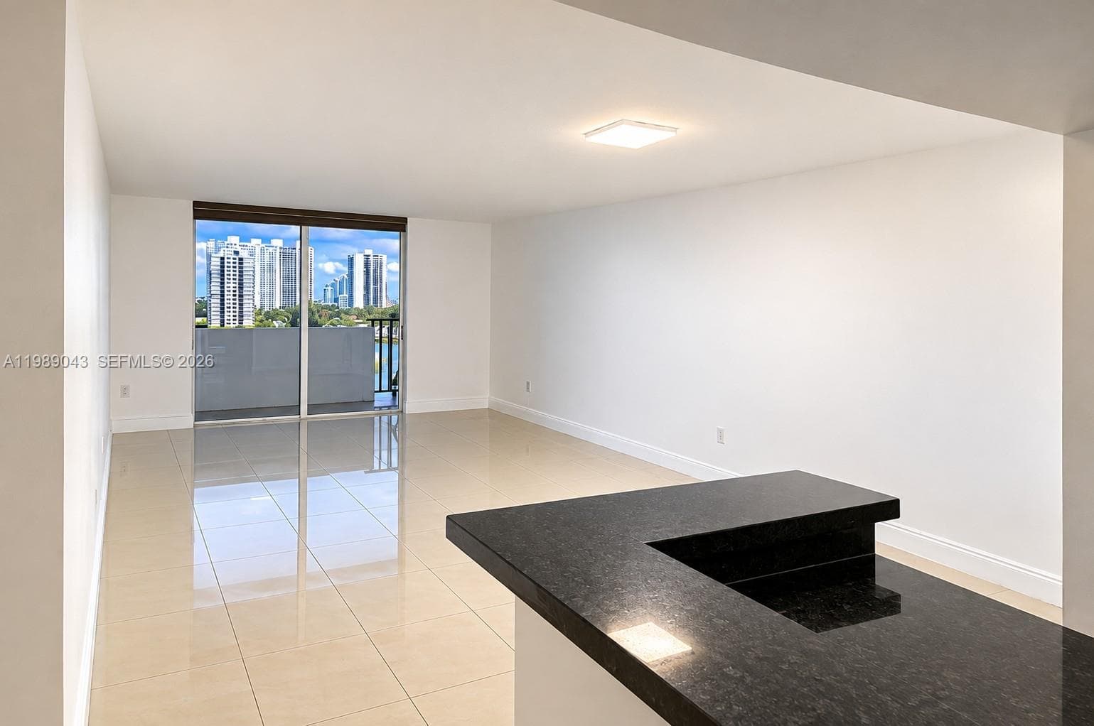 COMMODORE PLAZA SOUTH · #1201 in Aventura - Photo 3