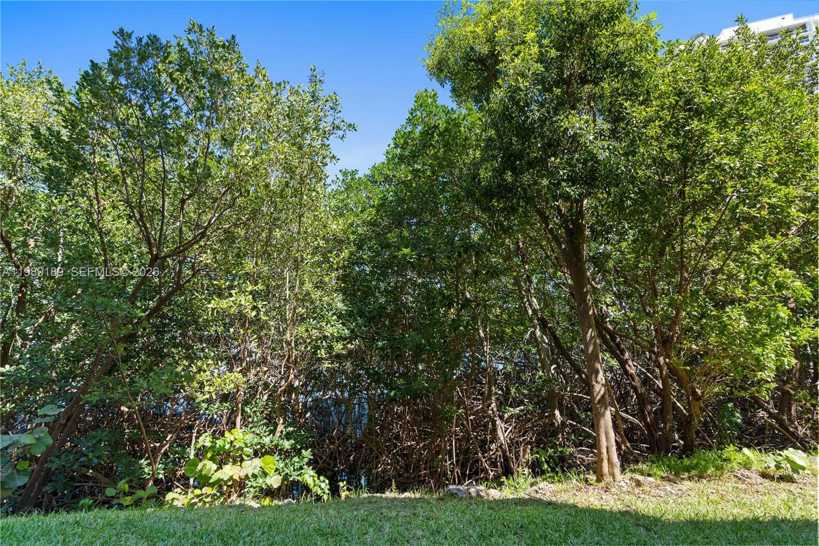THE YACHT CLUB · #6108 in Aventura - Photo 27