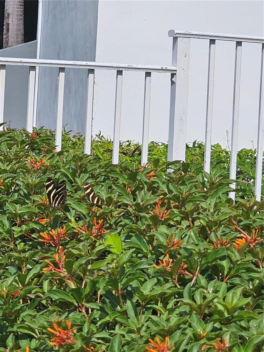 Biscaya · #601 in Aventura - Photo 12