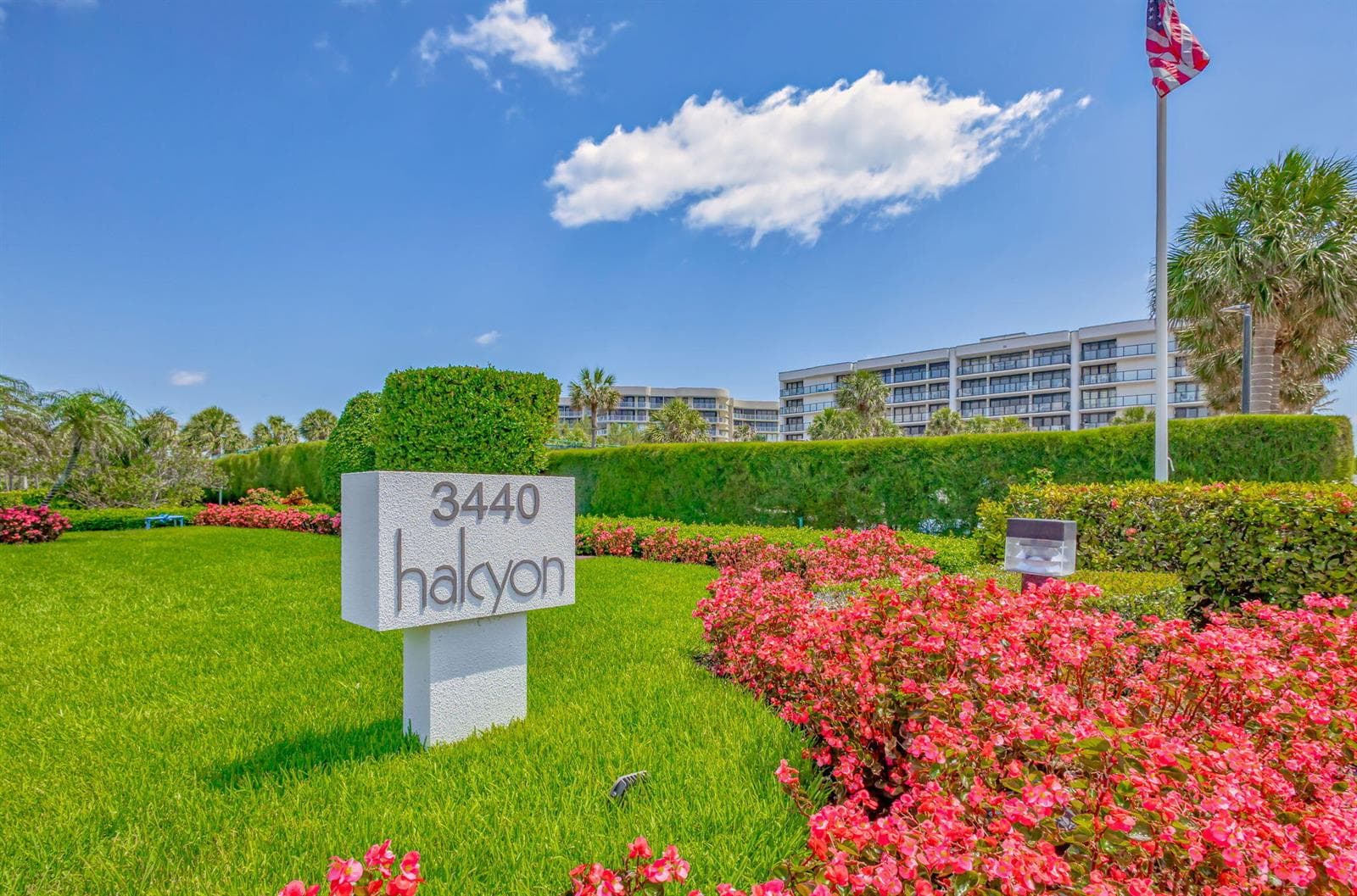 The Halcyon