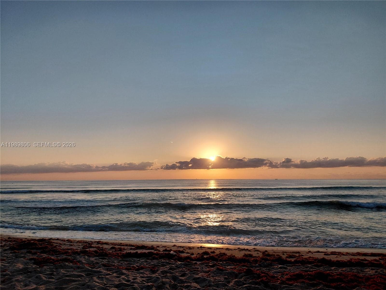 Ashleigh House HOA · #504 in Hallandale Beach - Photo 39