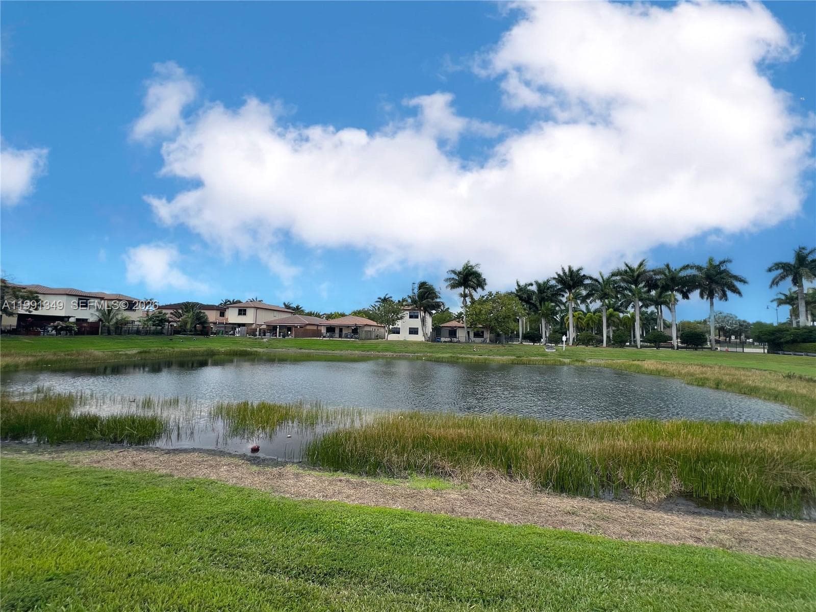 Serene Lake View