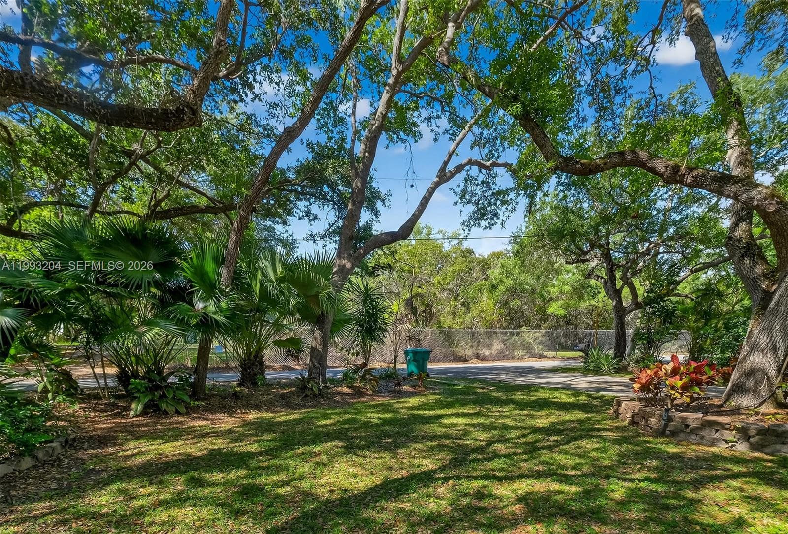 Front yard
