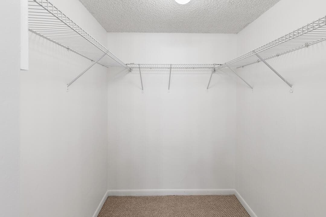 Large Primary Closet