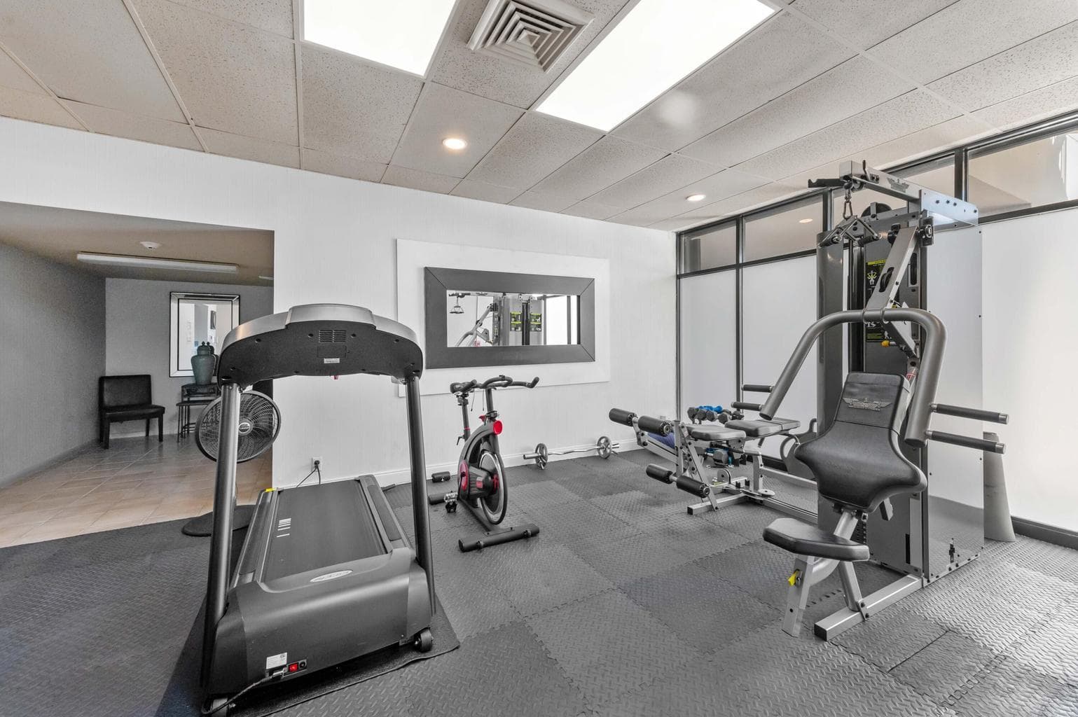 GYM