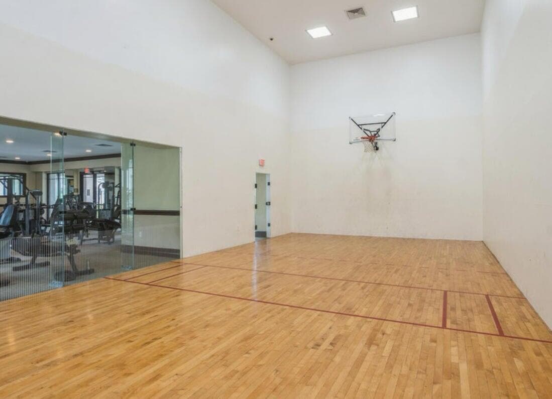 basketball anzio