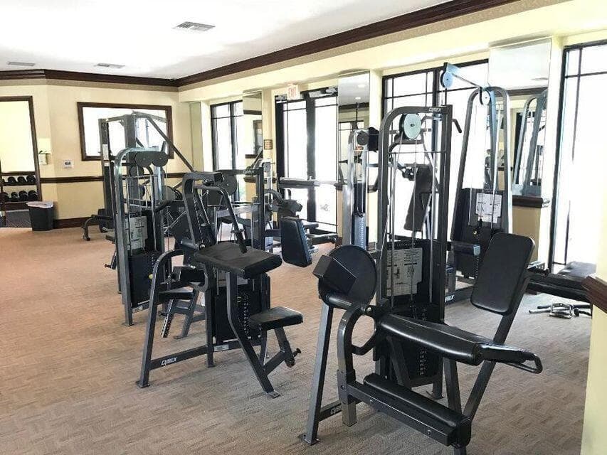 gym anzio