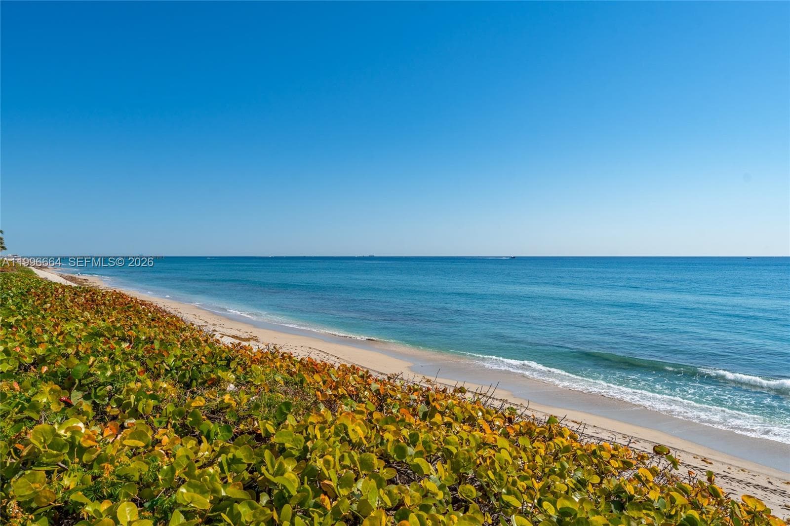 MERIDIAN OF PALM BEACH CO · #207N in Palm Beach - Photo 65
