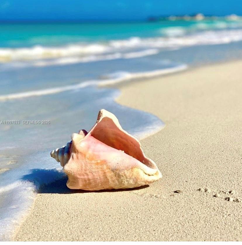 Minutes from Miami Beach
