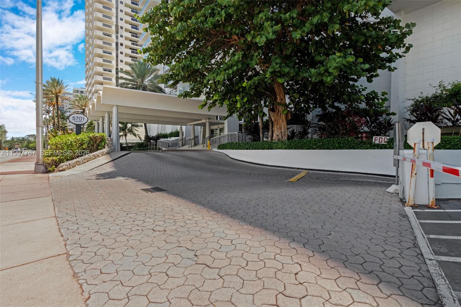 Arlene Beach · #1707 in Miami Beach - Photo 36