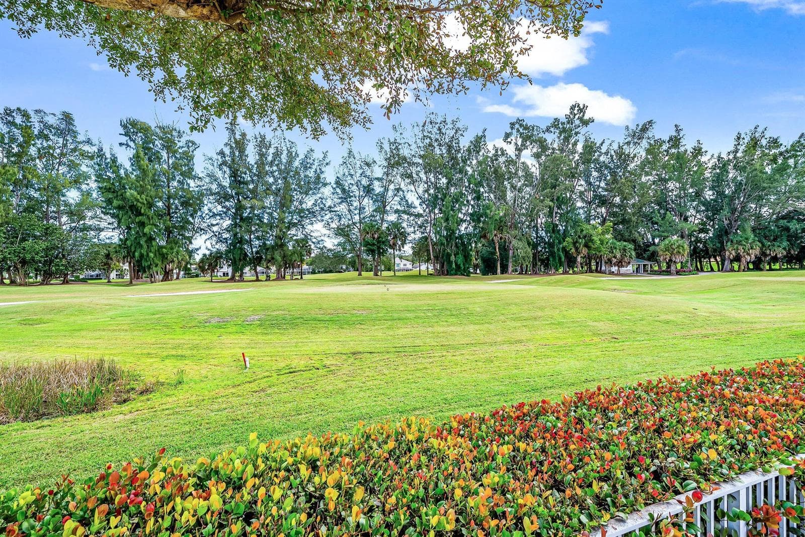 230 golf view 2