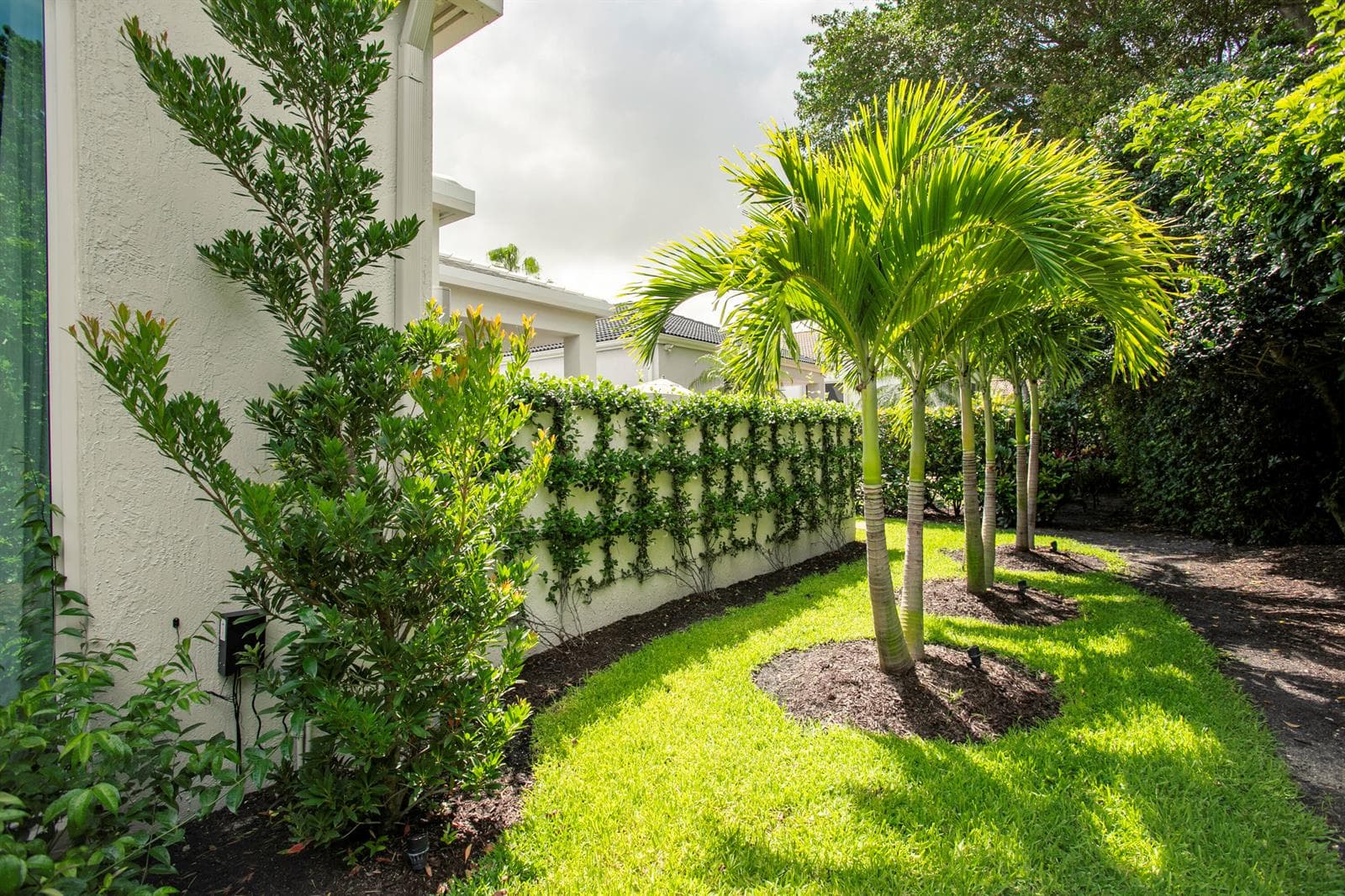 LUSH LANDSCAPE ALL AROUND