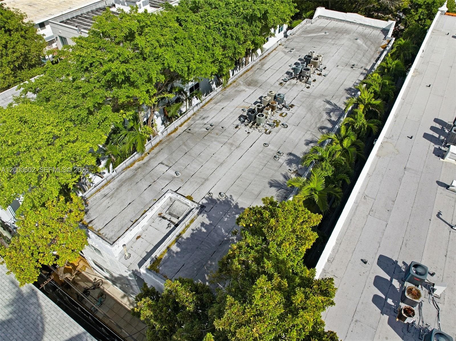 OHIO · #207 in Miami Beach - Photo 25