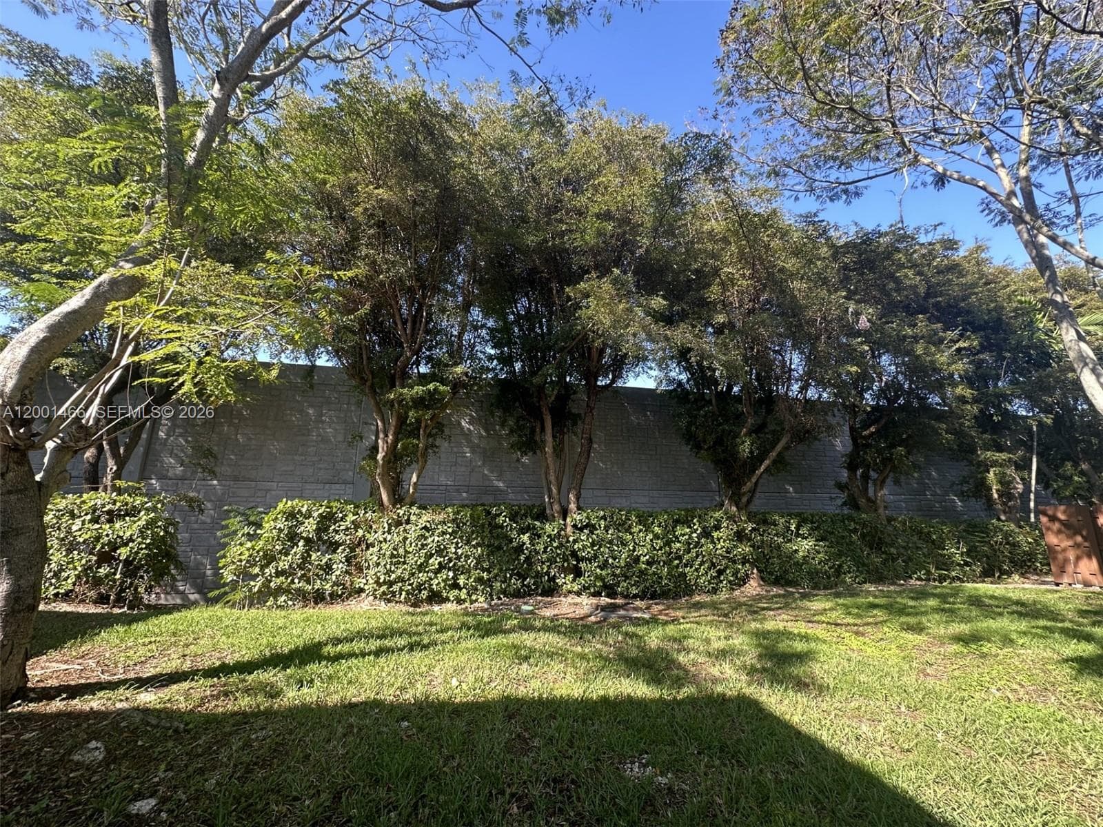 Back of property