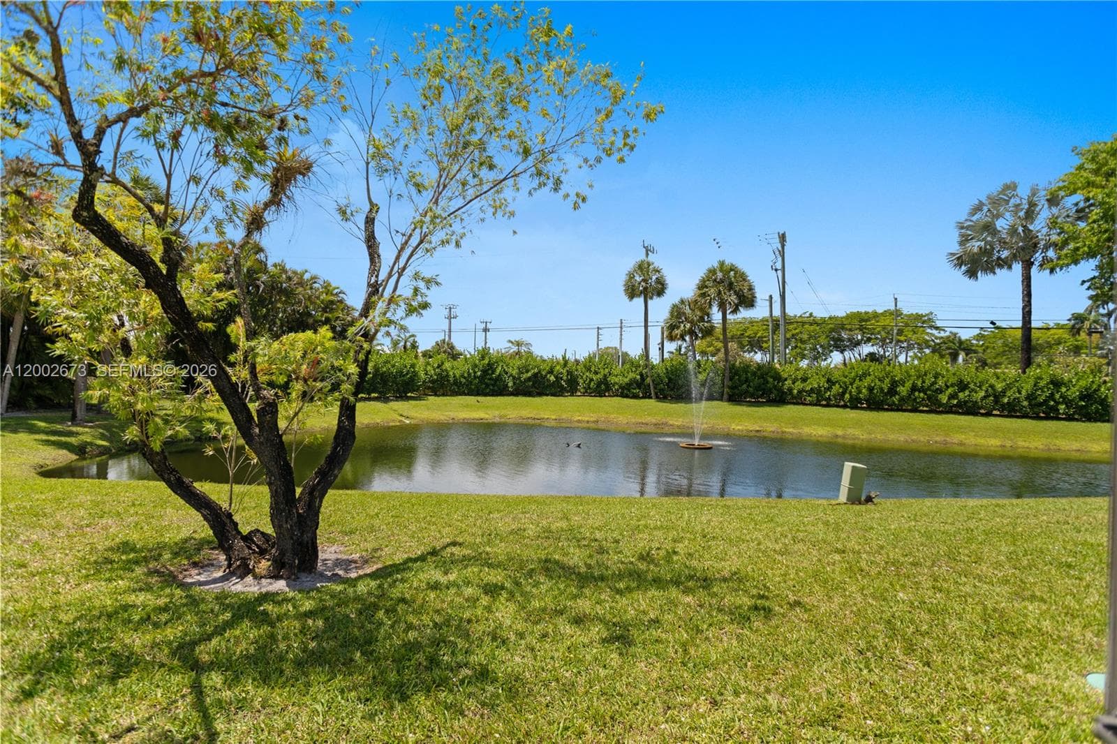 19988 Rima Cir photo 40
