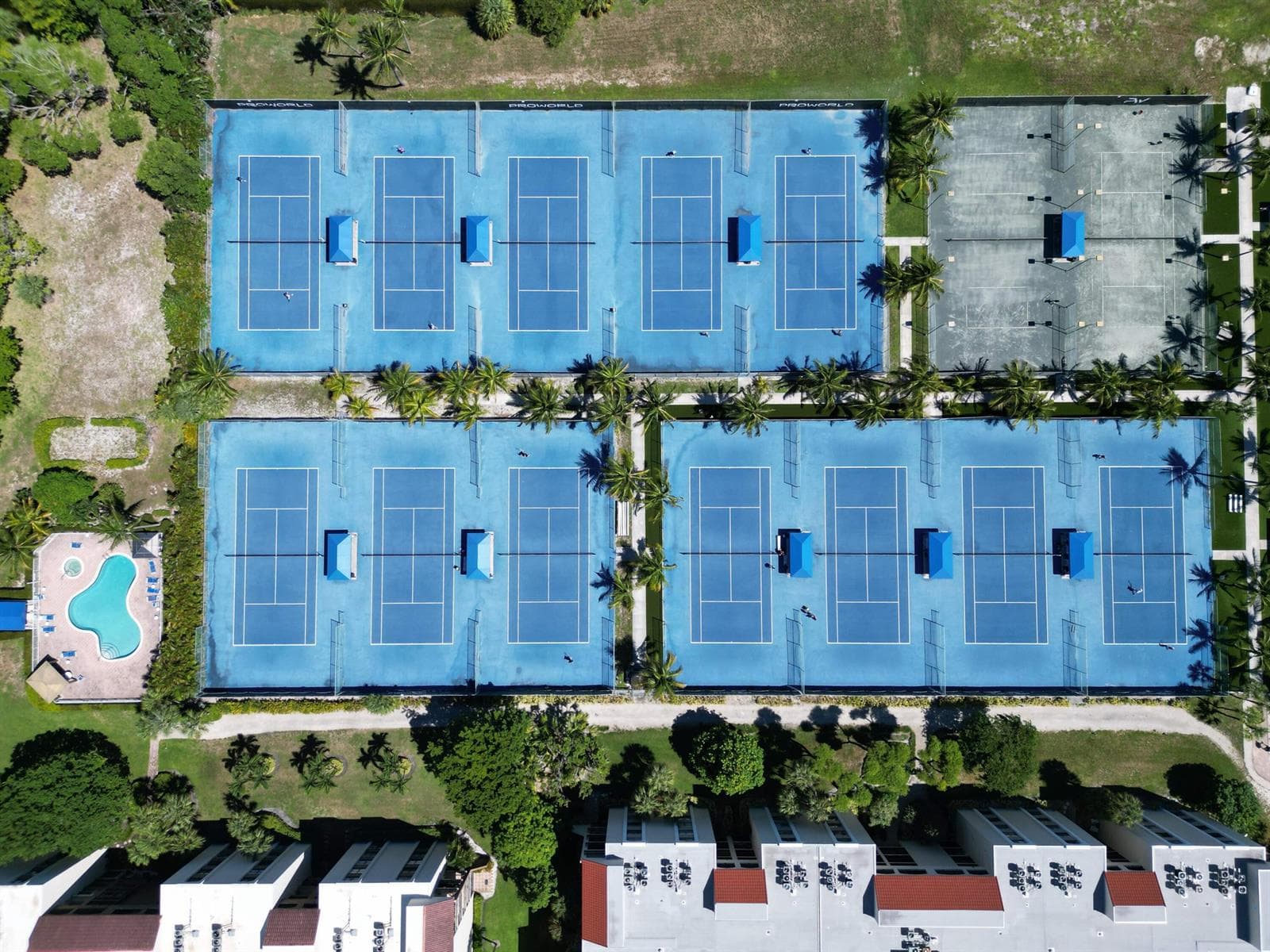 Pool Tennis Pickleball Above