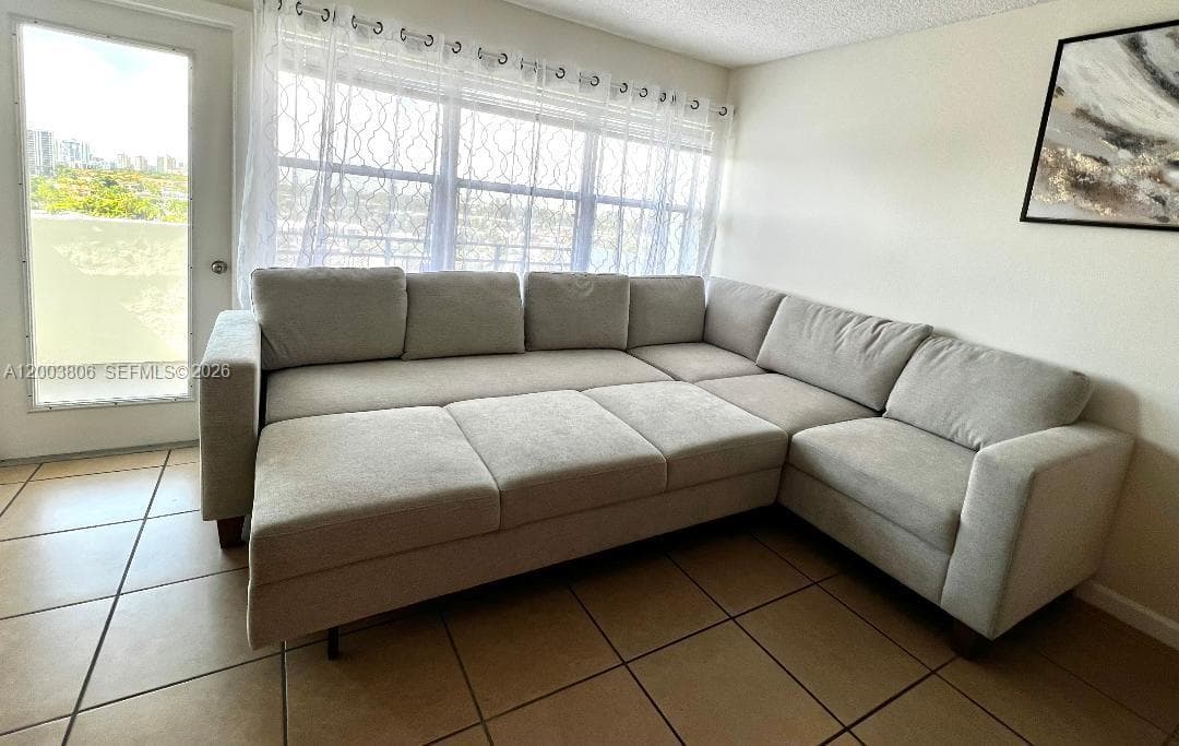Sleeper Sofa in the Living Room