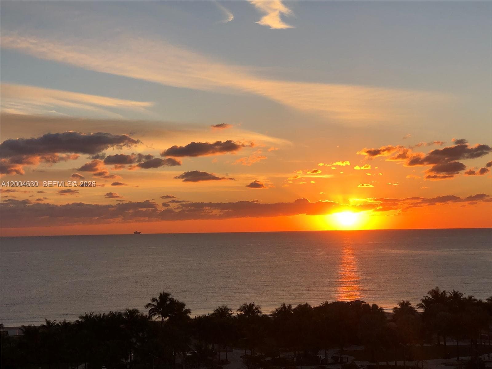 THE PLAZA AT OCEANSIDE · #806 in Pompano Beach - Photo 4