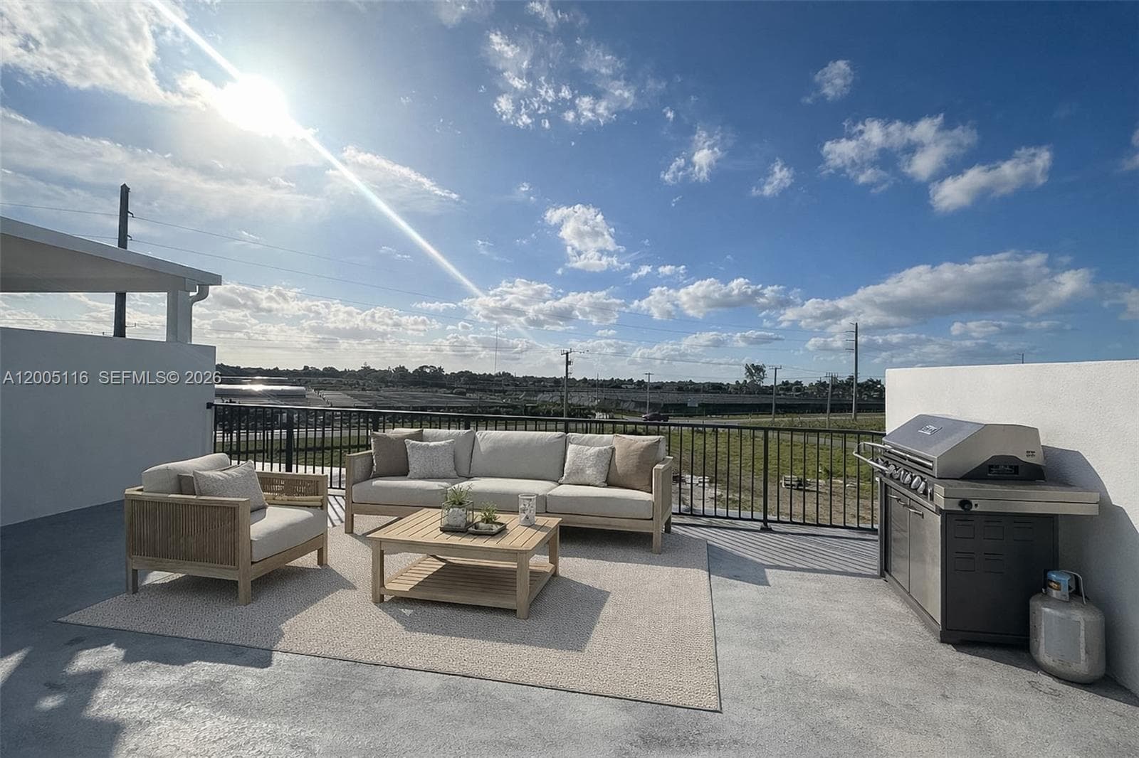 Virtually Staged, Terrace
