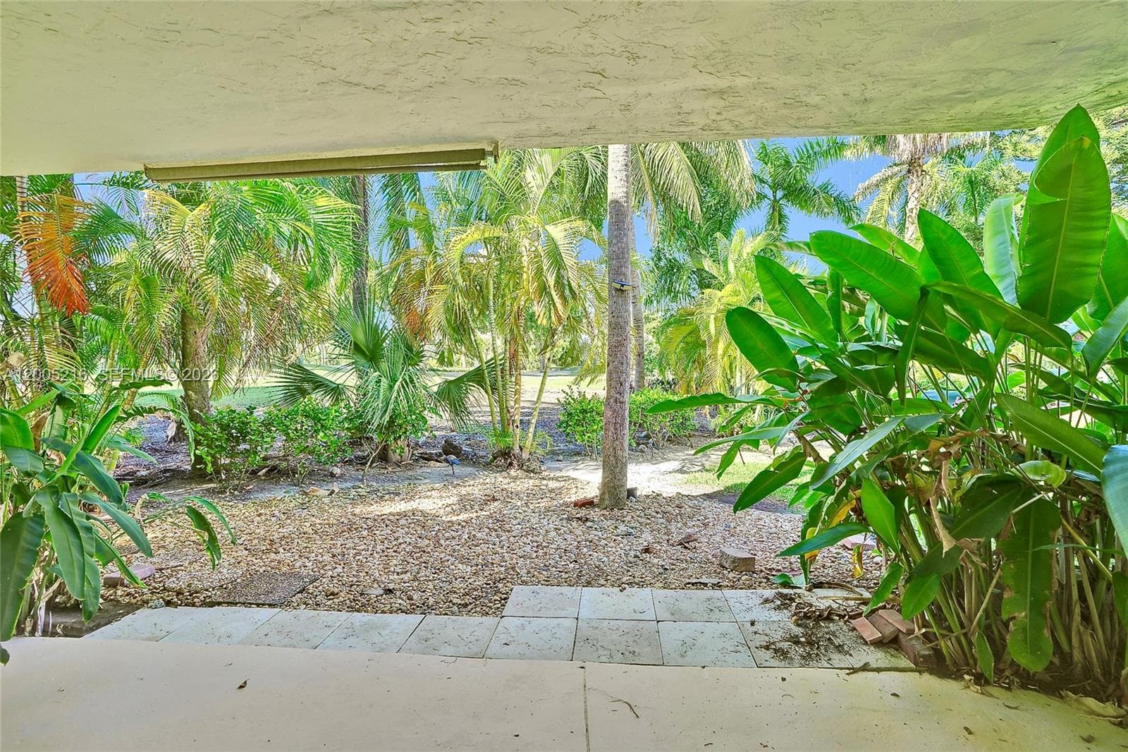 Delvista · #26 in Aventura - Photo 5