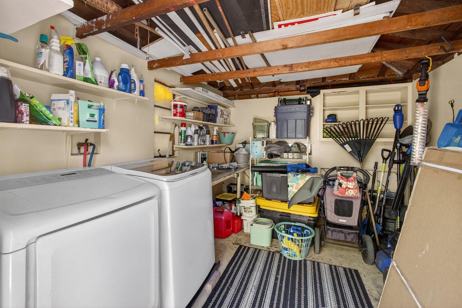 34-web-or-mls-5D1A9488