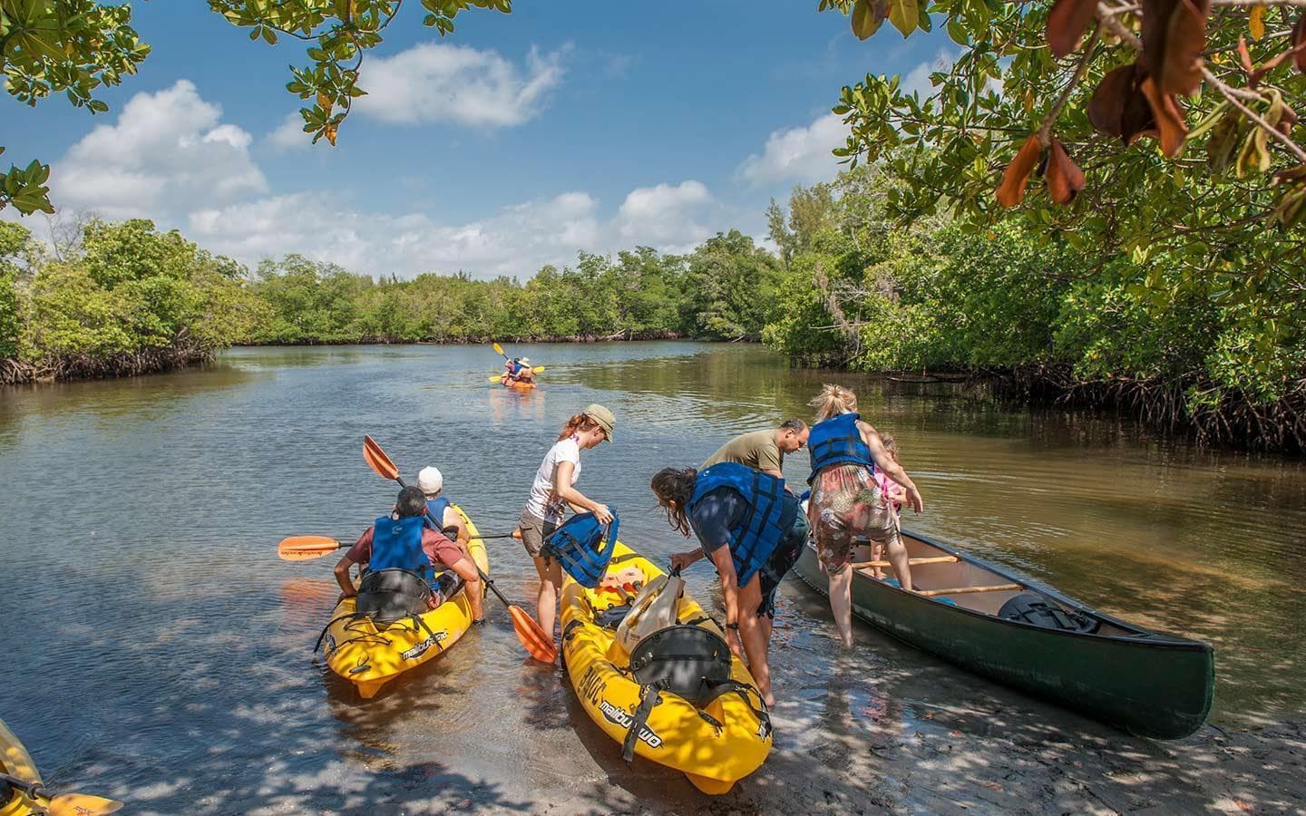 Oleta River State Park (Kayaking)