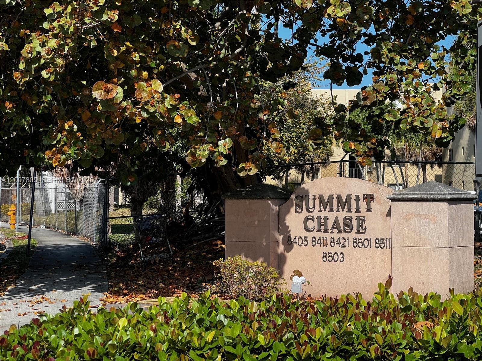 Summit Chase · #105 in Miami - Photo 1