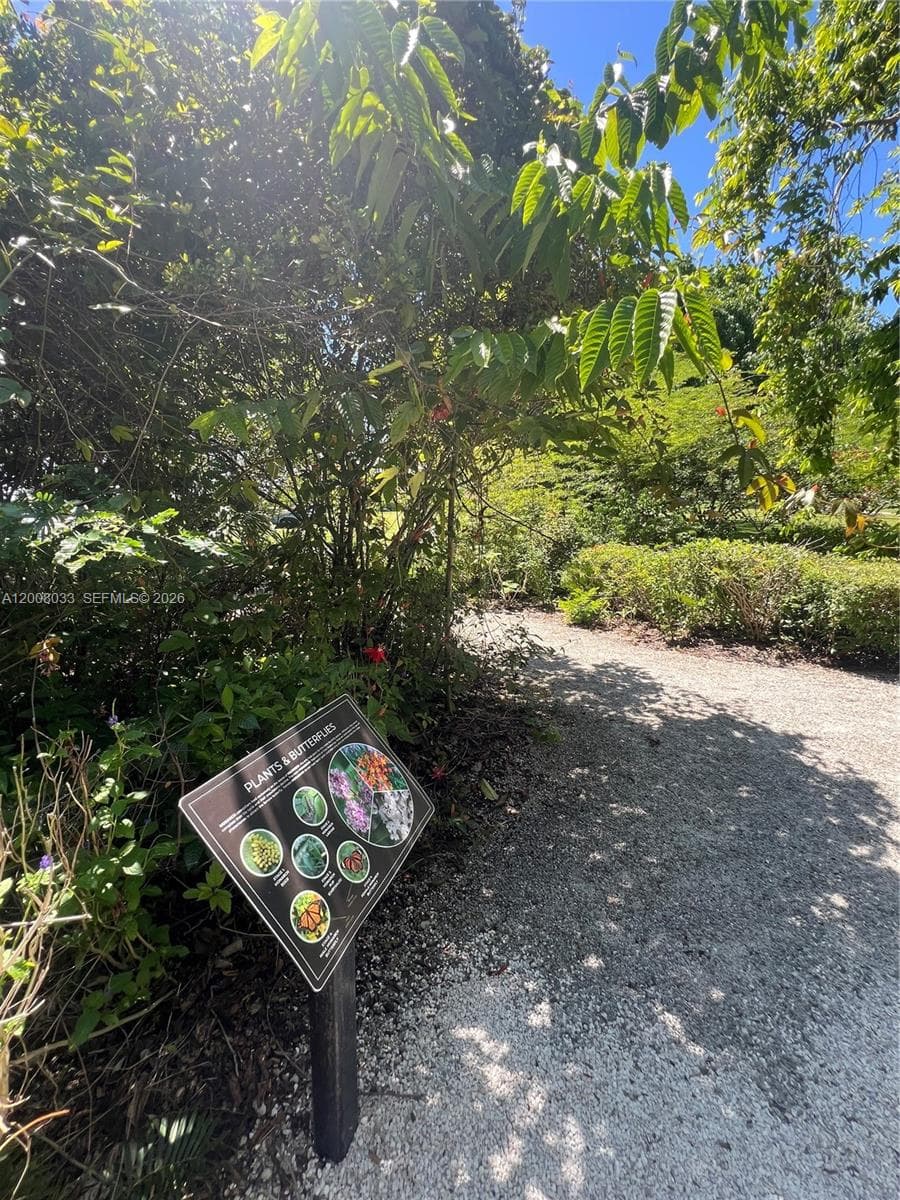 Butterfly Garden