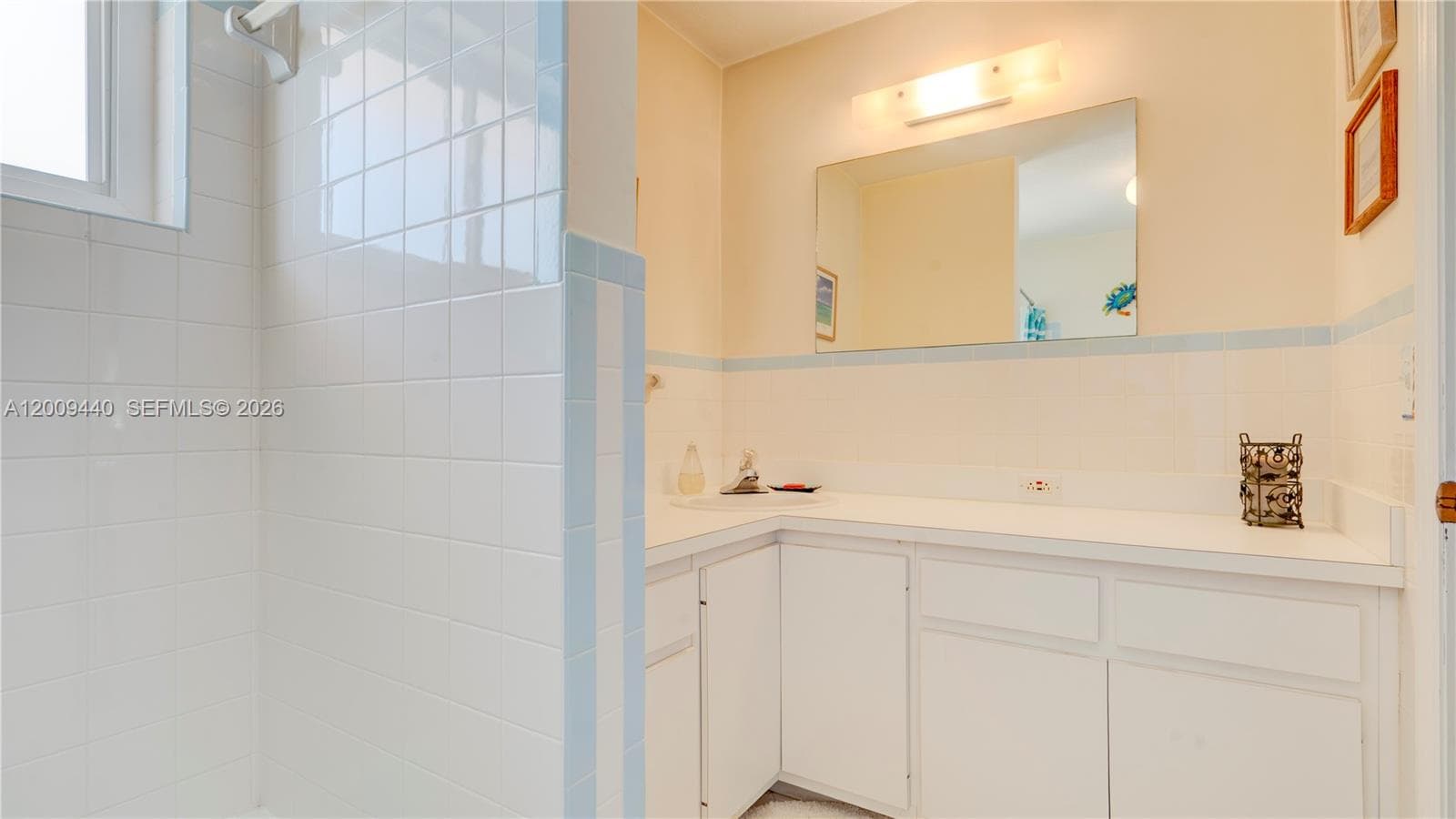 1101 Mastic Street photo 55