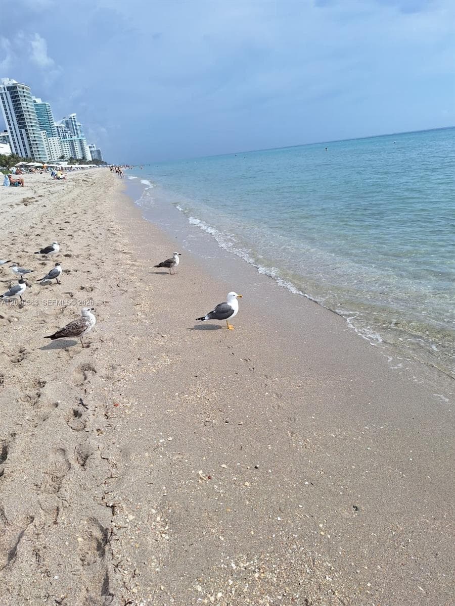 Parker Plaza Condo Estate · #1812 in Hallandale Beach - Photo 19