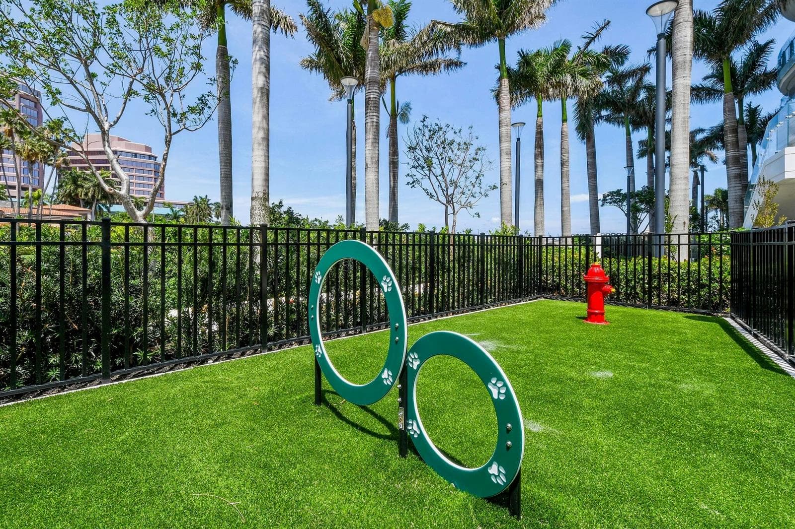 The Bristol Dog Park