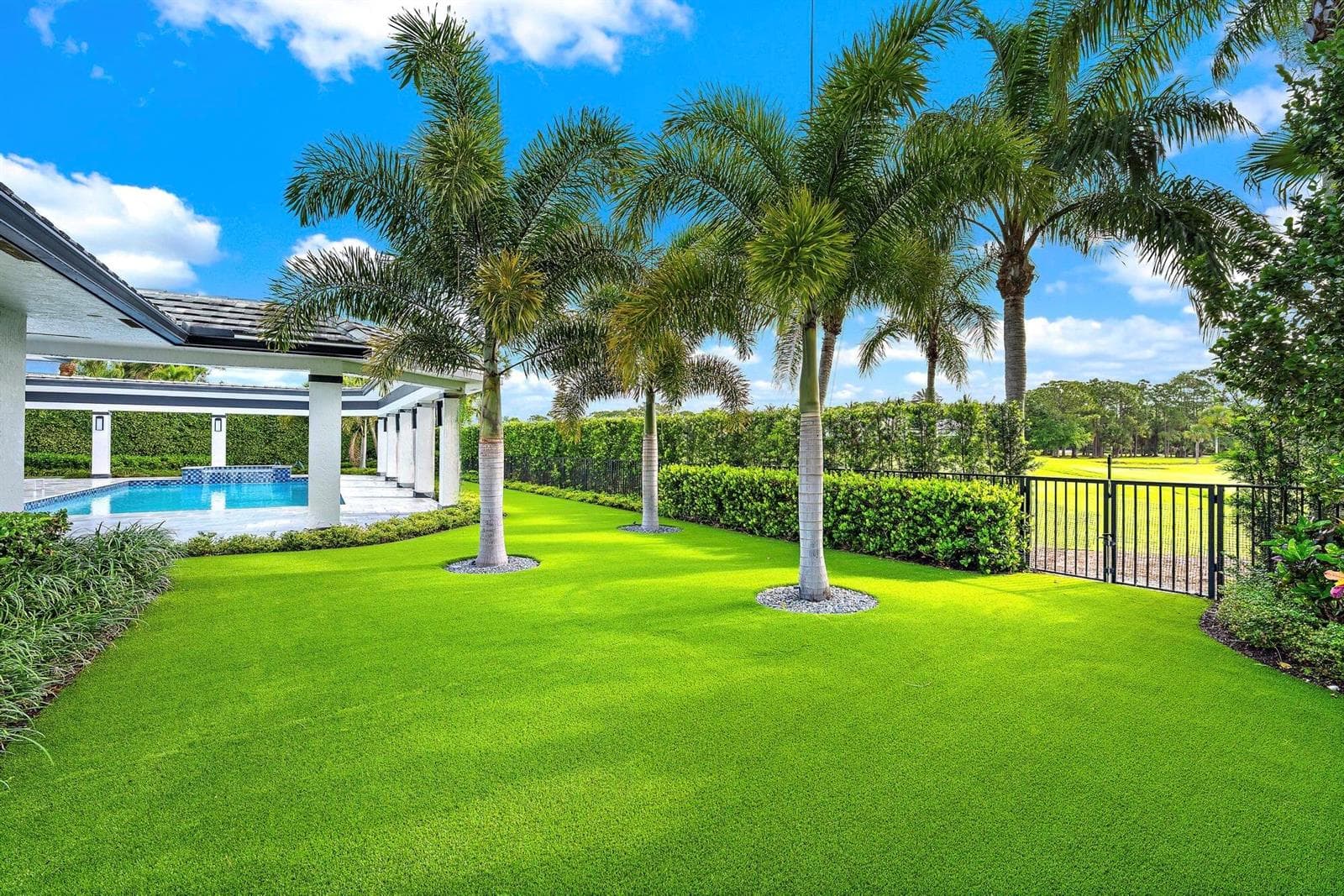 Backyard right