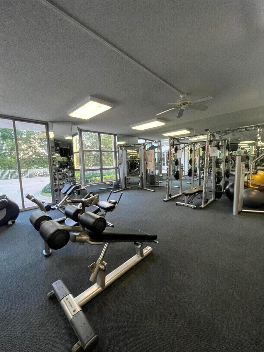 Gym