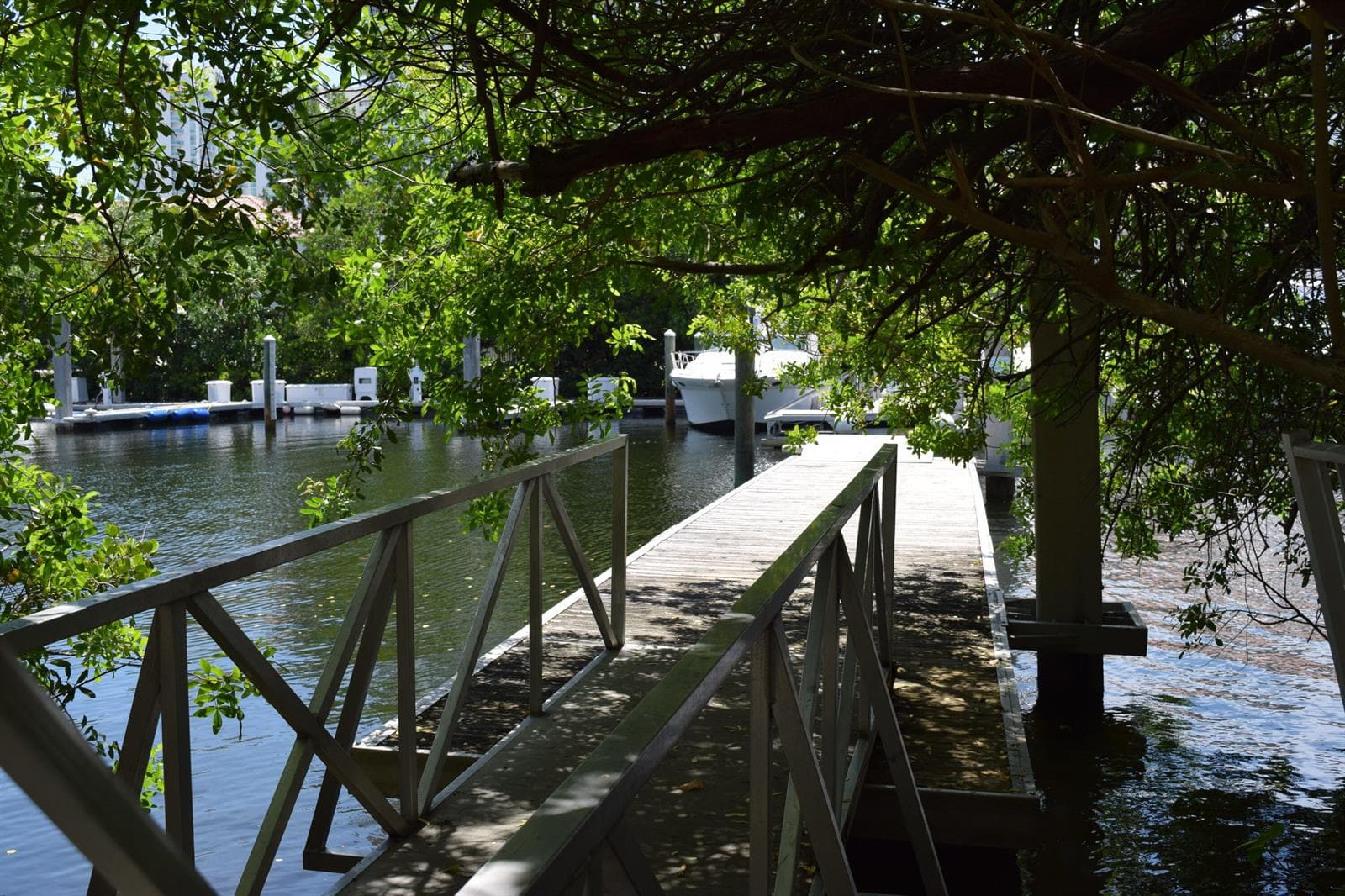 Dock Area