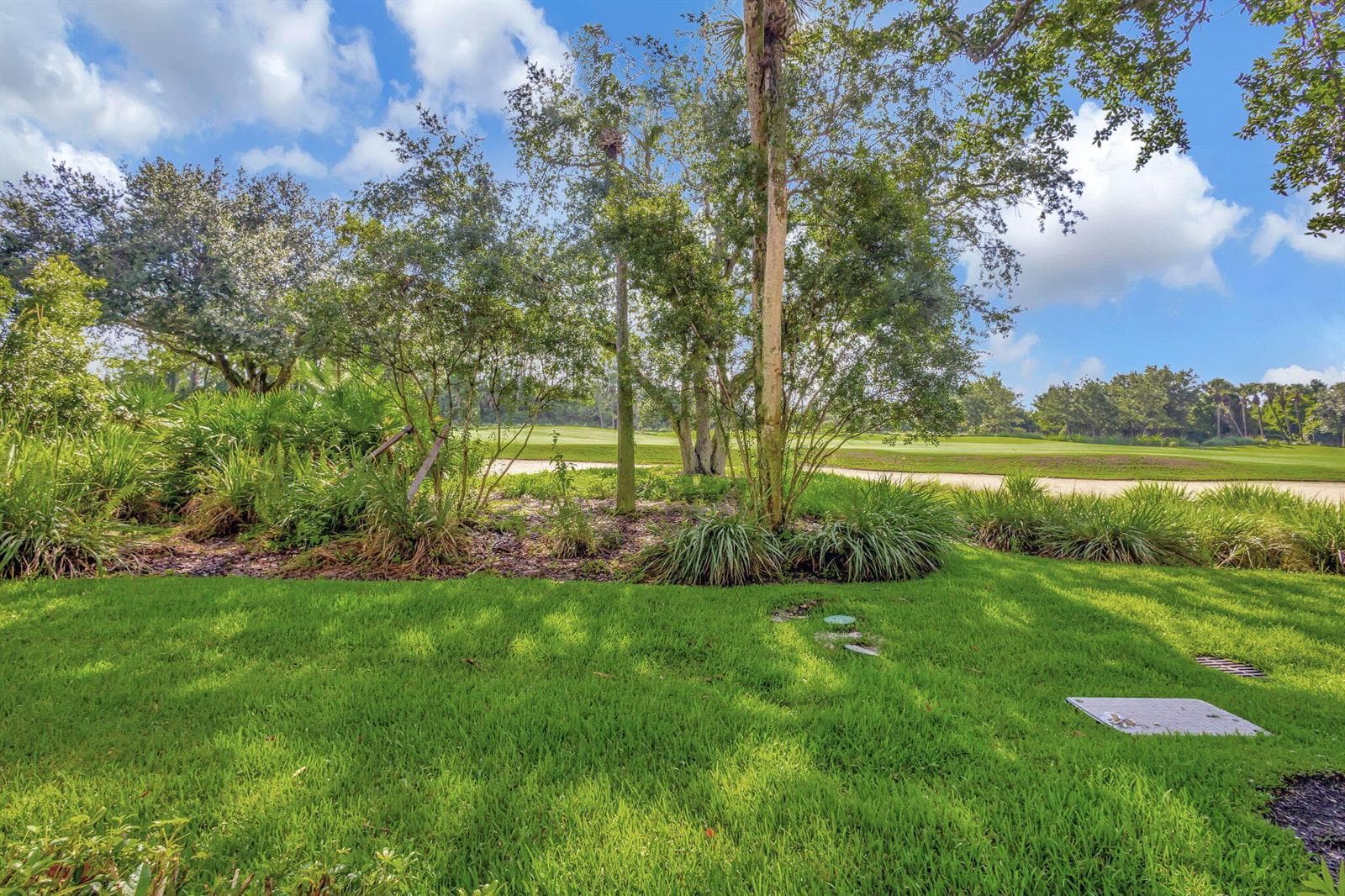 50-web-or-mls-5D1A2779