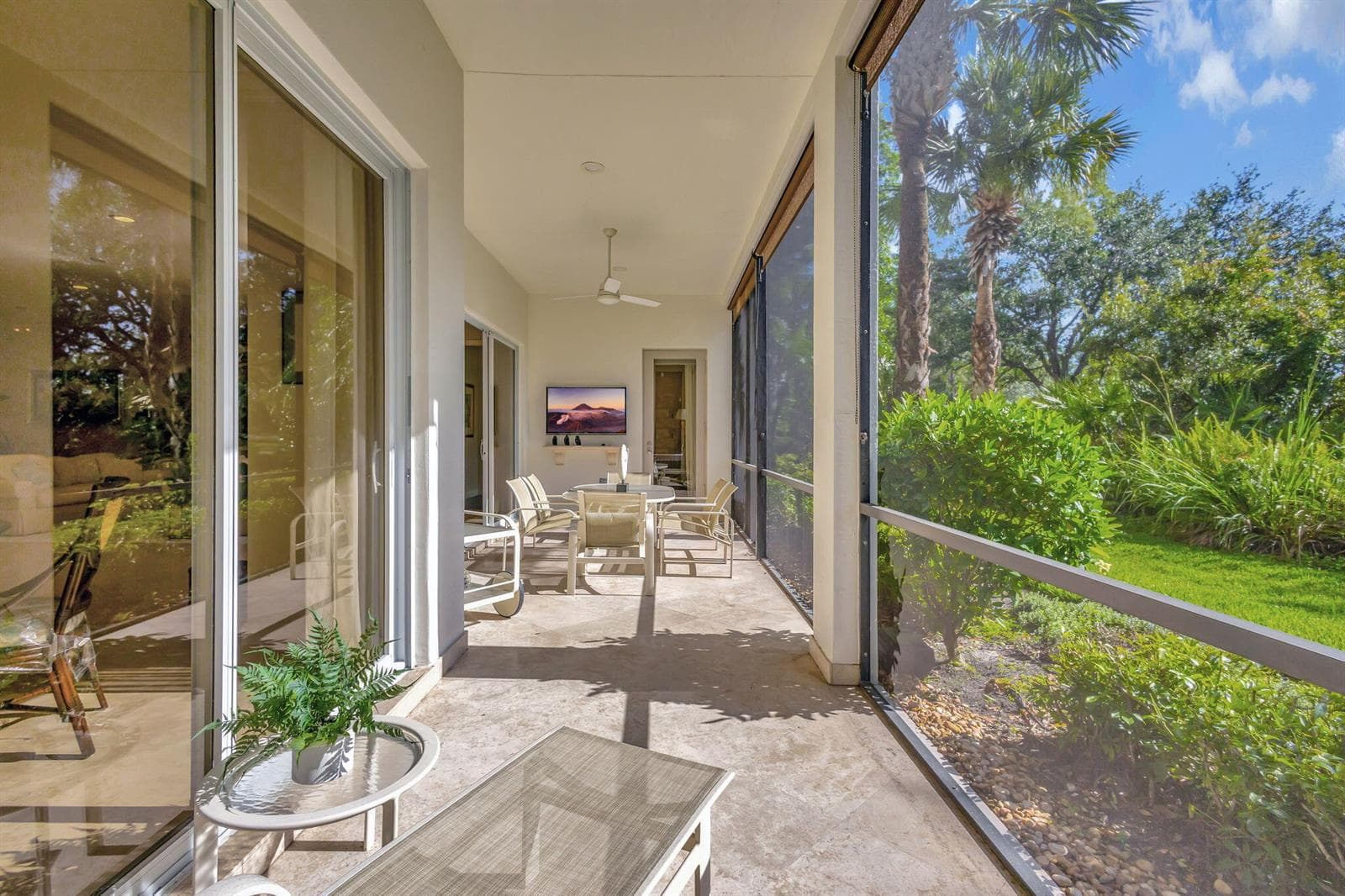 49-web-or-mls-5D1A2769